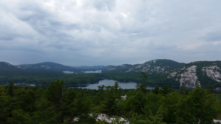 4.5 view from a crack