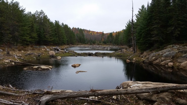 atphoto_gallery_map_3681_501_1477155659253-58539797