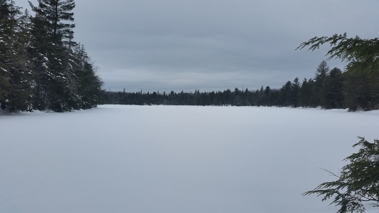 atphoto_gallery_map_626_98_1484414281008-945181284