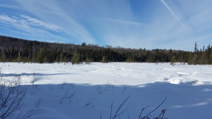 atphoto_gallery_map_639_100_14844996846721364541812