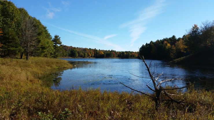 6) photo 3 arab lake.jpg