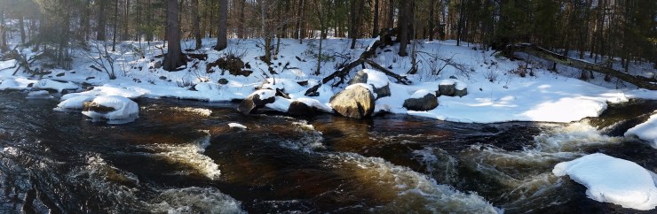 Rapids.jpg