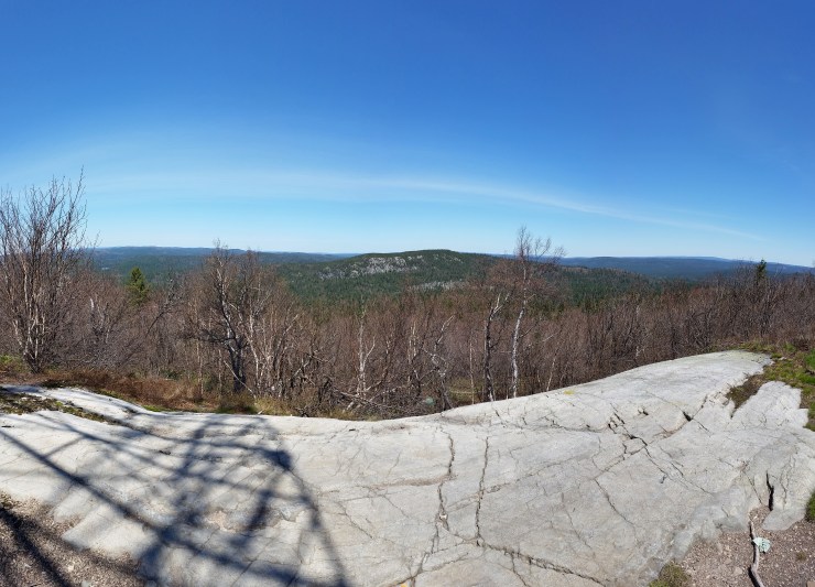 Pano 1 Facing North.jpg