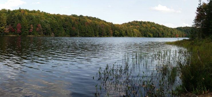 Buck Lake