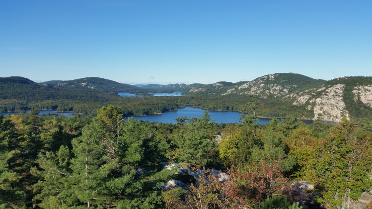 20170930_092644 edit small