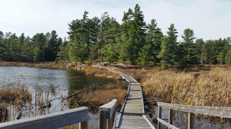 20171022_145248 edit