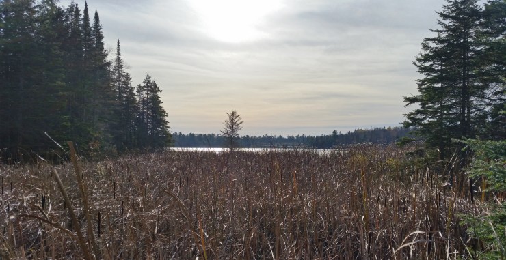 20171022_153007 edit good