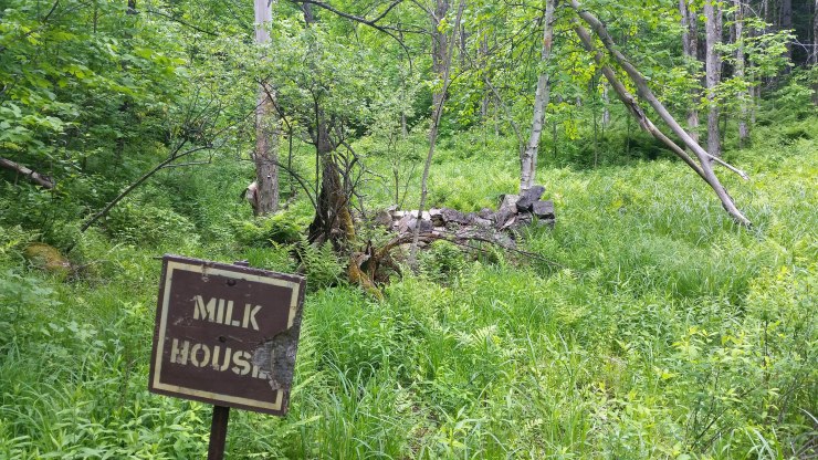 20180609_134354 edit small