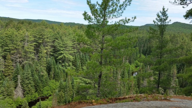 20180616_103727 edit small