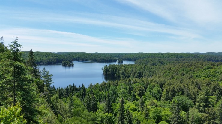 20180616_130443 smaller