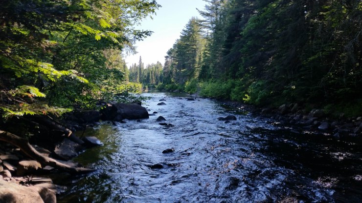 20180616_172813 smaller