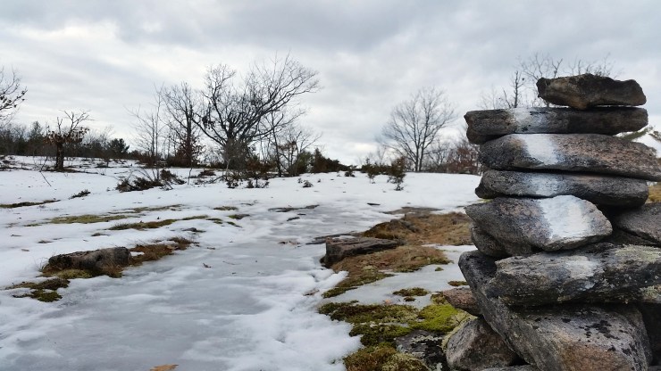 20180128_133135 edit