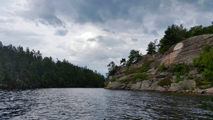 20180811_100026 edit small.jpg