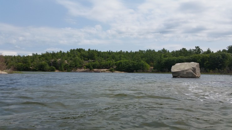 20180811_135845 edit small.jpg