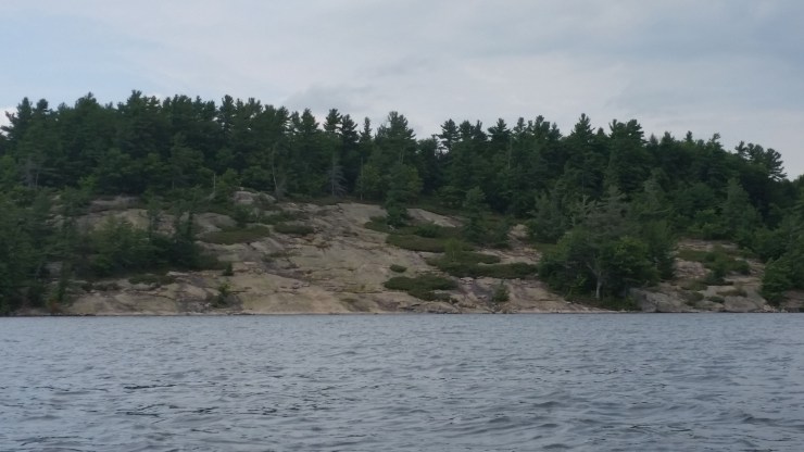 20180811_151615 edit small.jpg