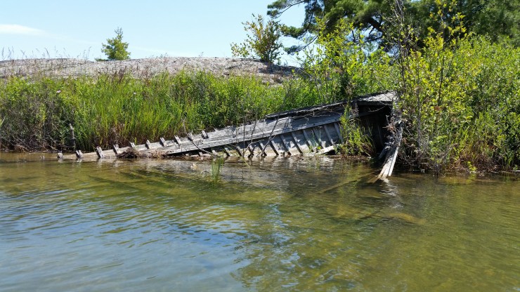 20180715_140236 edit small