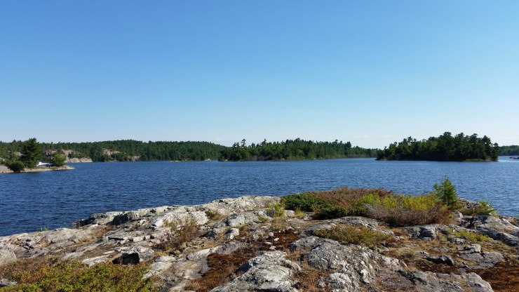 20180717_091201 edit small