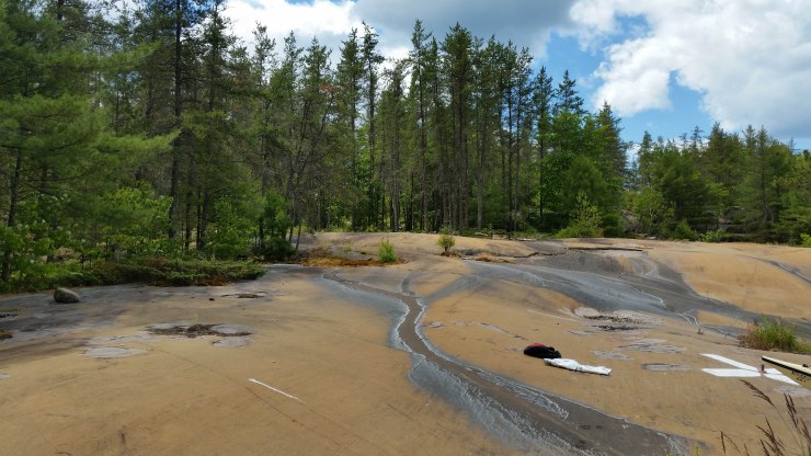 20180717_115212 edit small