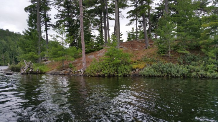 20180728_152533 smaller