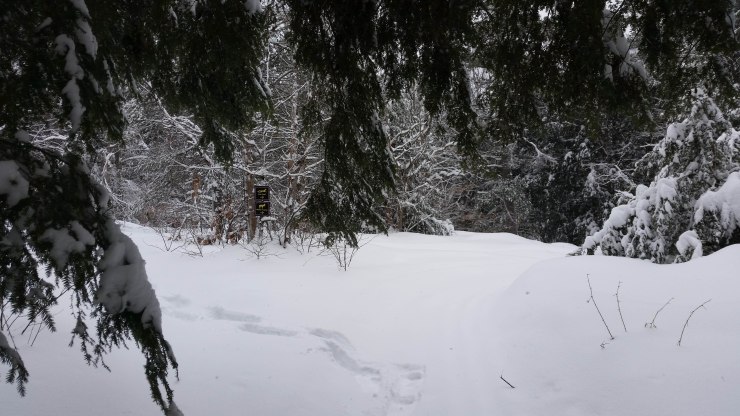 20190215_124905 edit small