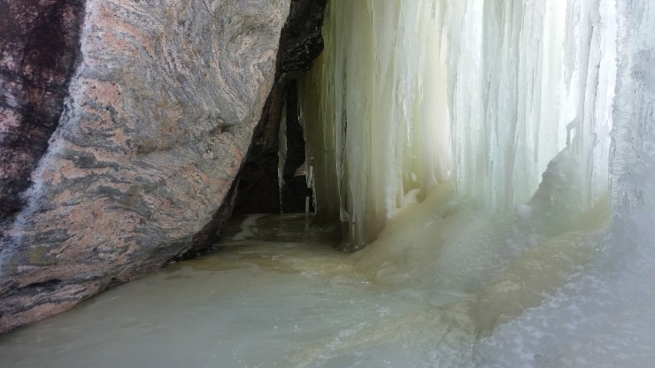 20190218_124323 edit small