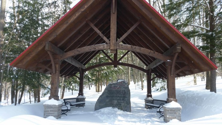 20190217_110710 edit small