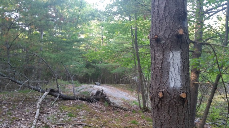 20190705_192144 3000