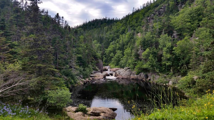 20190728_173457 edit