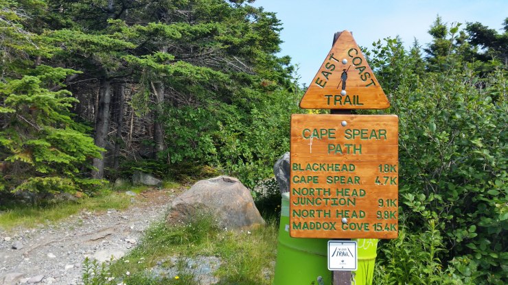 20190729_161205 edit