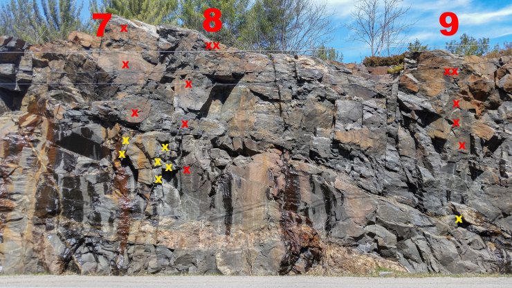 20200425_122127 edit.jpg