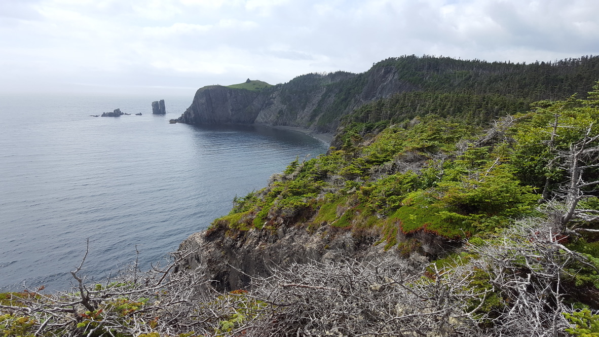 UNADJUSTEDNONRAW_thumb_6344