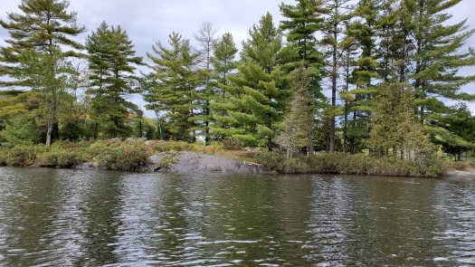 Potential campsite on Portage Lake